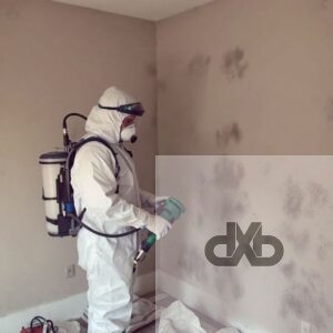 علاج الرطوبه للحوائط