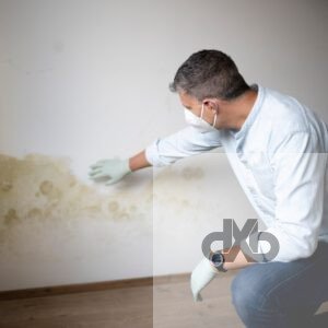 معالجة الرطوبة