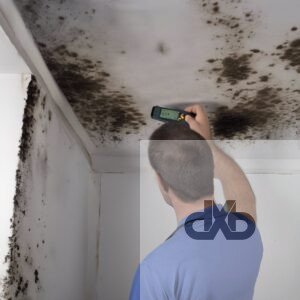 معالجه رطوبه الحوائط